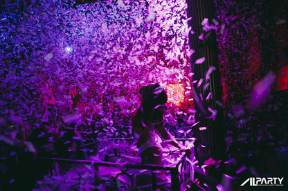 Asylum _ Alparty Event