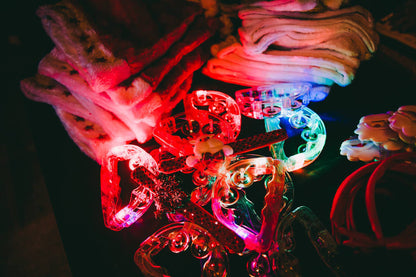 BAD SANTA_Alparty Event